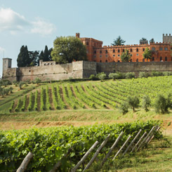 Italy, Tuscany - Chianti Wine Tour from Siena