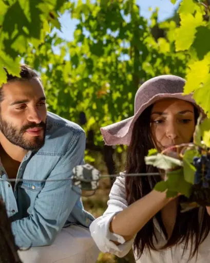Italy, Tuscany, Fattoria Svetoni Special Tasting - School of Wine