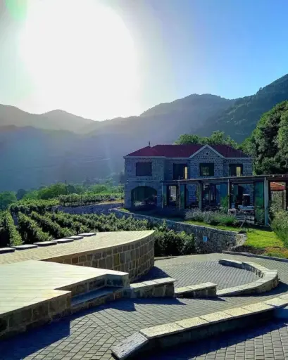 Montenegro, Cetinje, Markovic Winery & Estate - Tour and tasting 1