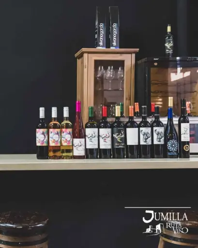 Spain, Murcia, Bodegas Silvano Garcia - Uncork the Past: Exclusive Wine Tasting in a Historic Cellar