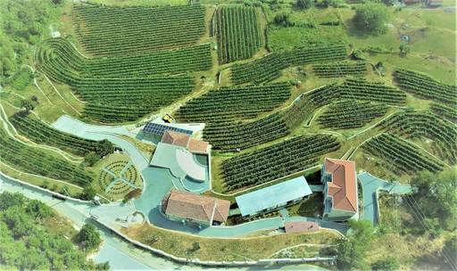 Montenegro, Cetinje, Markovic Winery & Estate - Tour and tasting 2