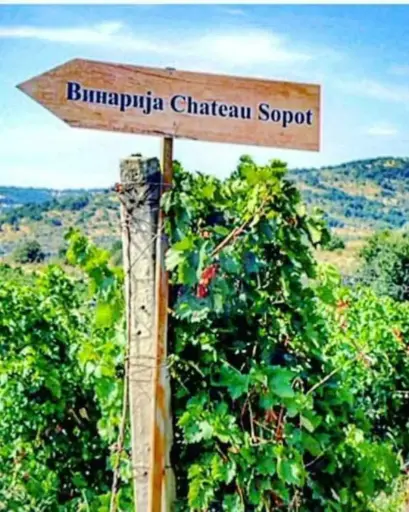 North Macedonia, Vardar Valley, Chateau Sopot - Pair your perfect wine with seafood specialties