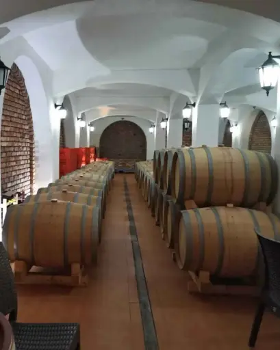 North Macedonia, Vardar Valley, Chateau Sopot - Perfect pairing of wine, food, and vineyard shine