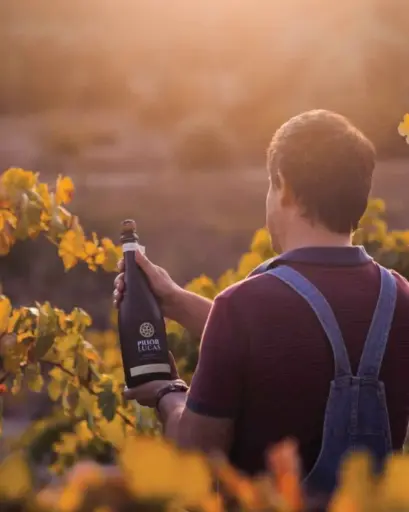 Portugal, Bairrada, Prior Lucas Wines - GASTRONOMIC EXPERIENCE IN THE PRIOR VINEYARD