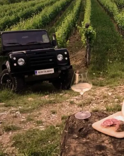 Slovenia, Goriska Brda, Edi Simcic - Wine safari