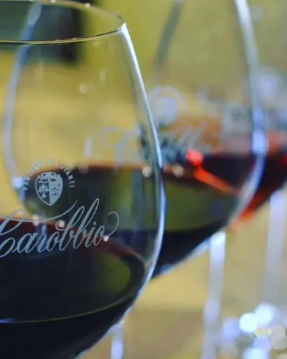 Italy, Tuscany, Tenuta Carobbio - Carobbio In Depth