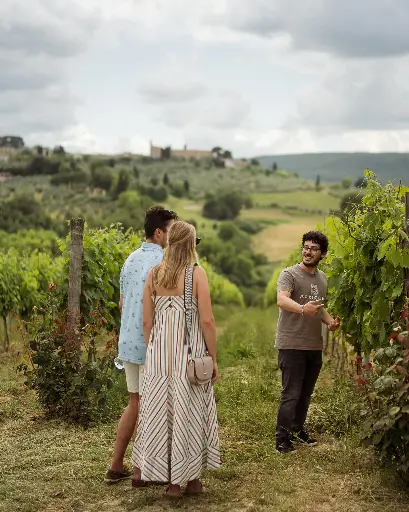Italy, Tuscany, Pietraserena - Complete Food and Wine tour in Pietraserena