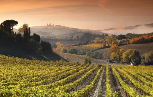 Italy, Tuscany, Mormoraia - Wine and Cuisine