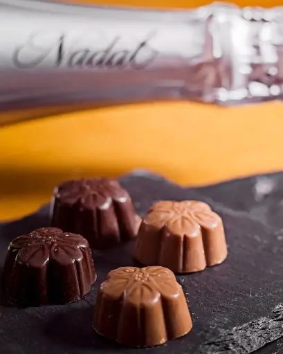 Spain, Catalonia, Caves Nadal - Bubbles & Chocolate