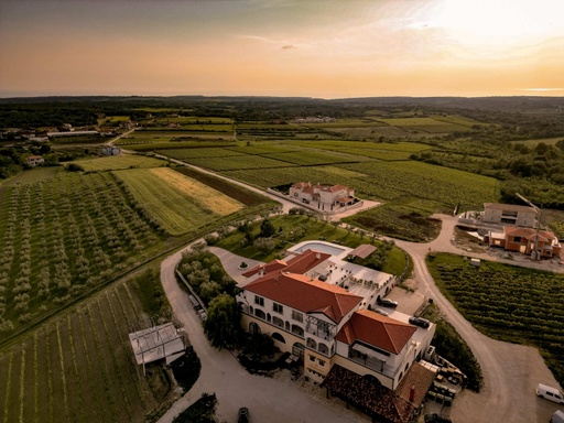 Croatia, Istria, Cattunar - Terroir Experience 