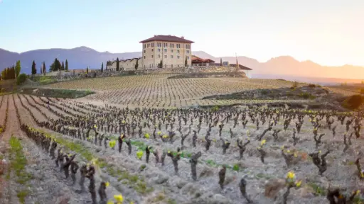 Spain, Rioja, Hacienda Lopez de Haro - Visit and Tasting