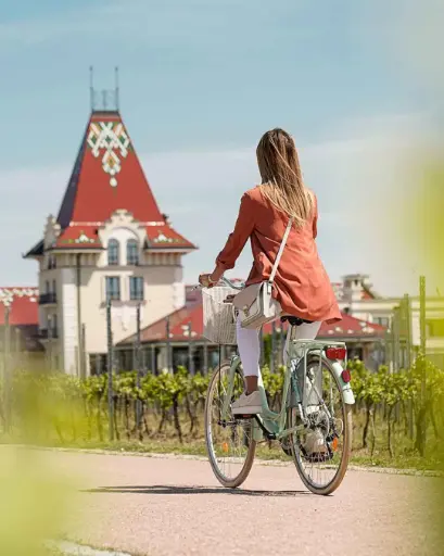 Serbia, Palic, Zvonko Bogdan - Premium wine tour