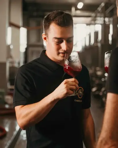 Italy, Tuscany, Camigliano -   Winemaker For A Day