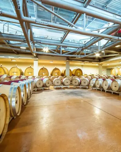 Italy, Tuscany, Icario - Gold Tour & Tasting Experience