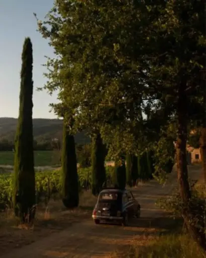 Italy, Tuscany, Tenuta Sette Ponti - Cult Wines