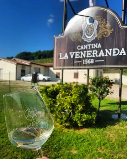 Italy, Umbria, La Veneranda -  White wines tasting