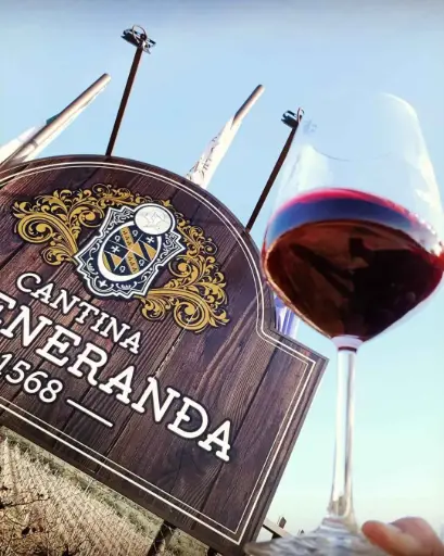 Italy, Umbria, La Veneranda -  Red wines tasting