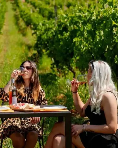 Italy, Umbria, La Veneranda - Complete wine & food tasting