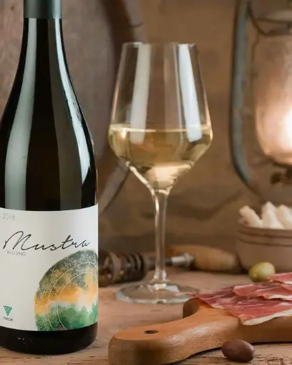 Serbia, Fruska Gora, Vinum - Wine and Food pairing, three course meal 