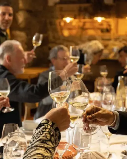 Portugal, Vinho Verde, Quinta De Lourosa - Wine lunch or dinner