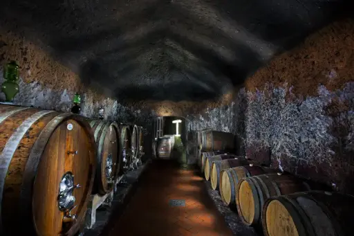 Italy, Tuscany, Sassotondo - Ciliegiolo unveiled