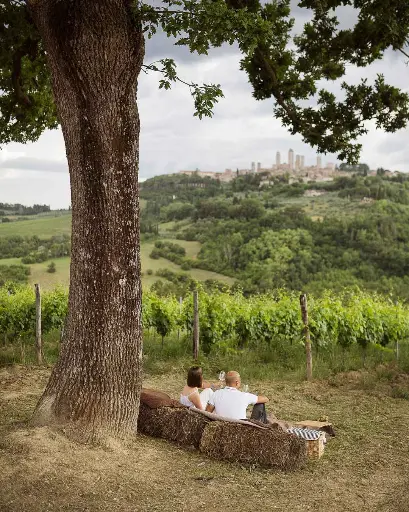 Italy, Tuscany, Pietraserena -Chic Nic with Tour of Vineyards and Cellar