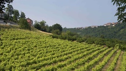 Winery