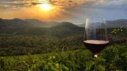 Winery