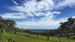 Winery
