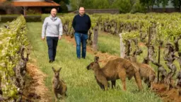 Winery