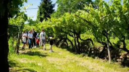 Winery