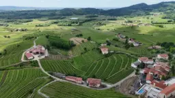 Winery