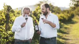 Winery
