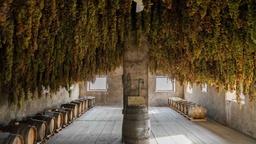 Winery