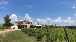 Winery