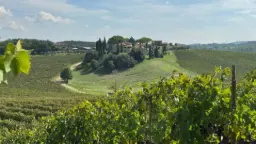 Winery