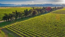 Winery