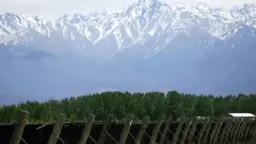 Winery
