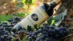 Winery