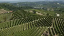Winery