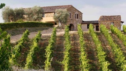 Winery