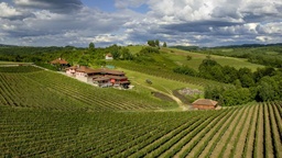 Winery
