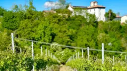 Winery