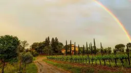 Winery
