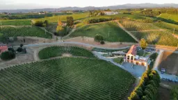 Winery