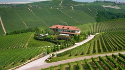 Winery