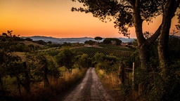 Winery