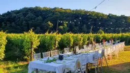 Winery