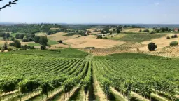 Winery