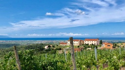 Winery